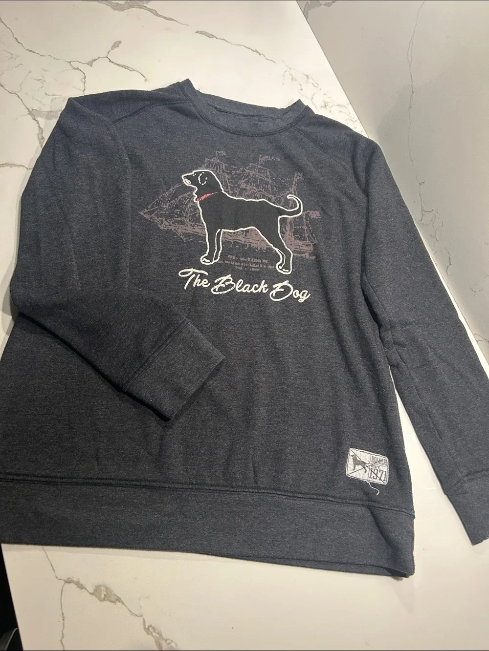 The Black Dog Charcoal Sweatshirt with Black Dog Graphic